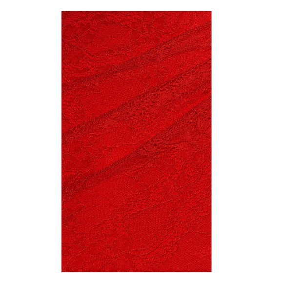 NWT Lovers and Friends Cubales Midi Revolve Red Lace Dress - Picture 4 of 4